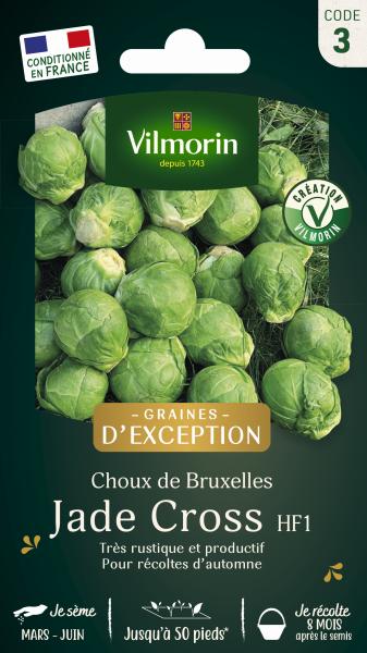 Potagères - Chou de Bruxelles Jade Cross HF1 - Graines d'Exception - PACKAGING_RECTO